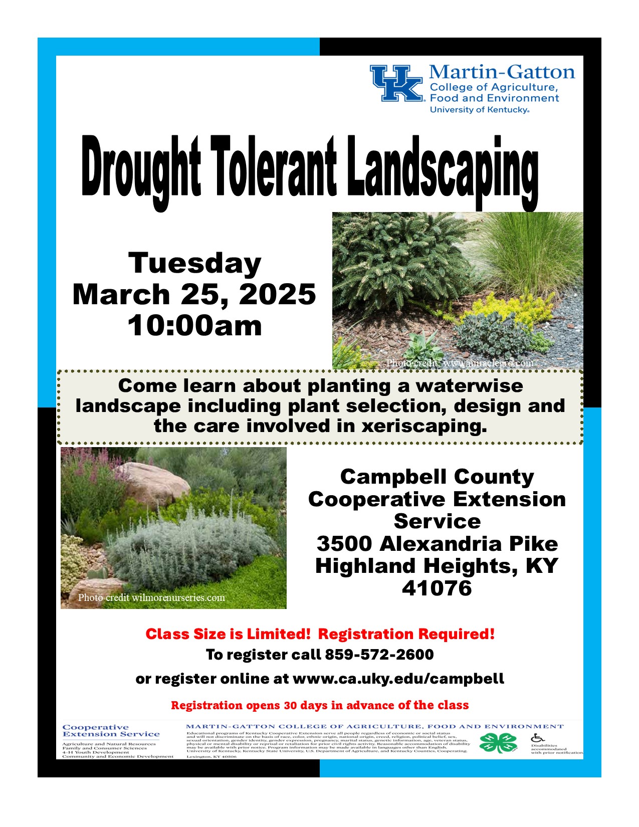 Drought Tolerant Landscaping